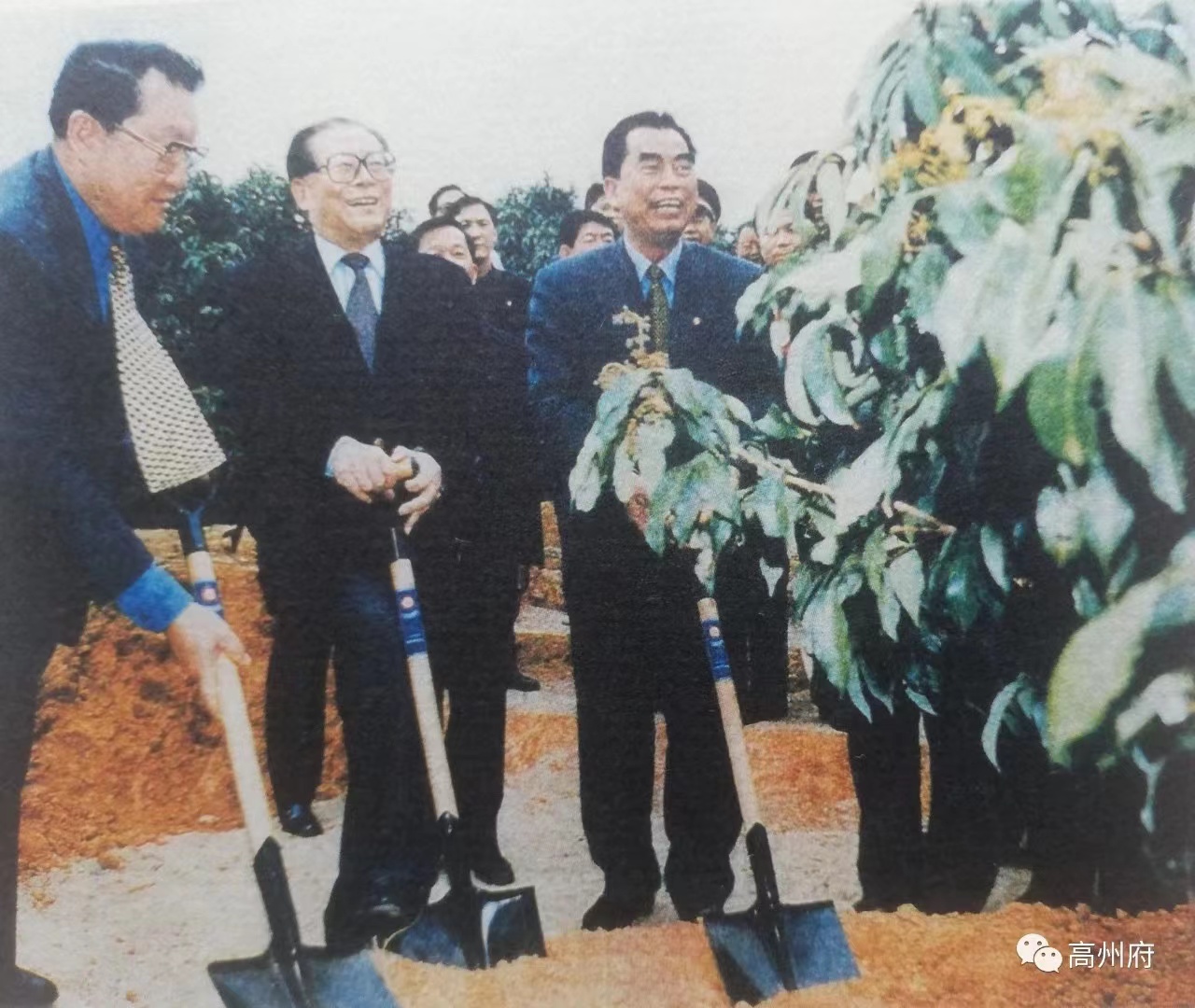 开云手机官方网站电保-中国荔枝博物馆智慧用电改造